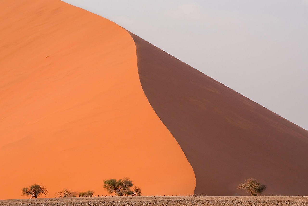 desert-9168592_1280