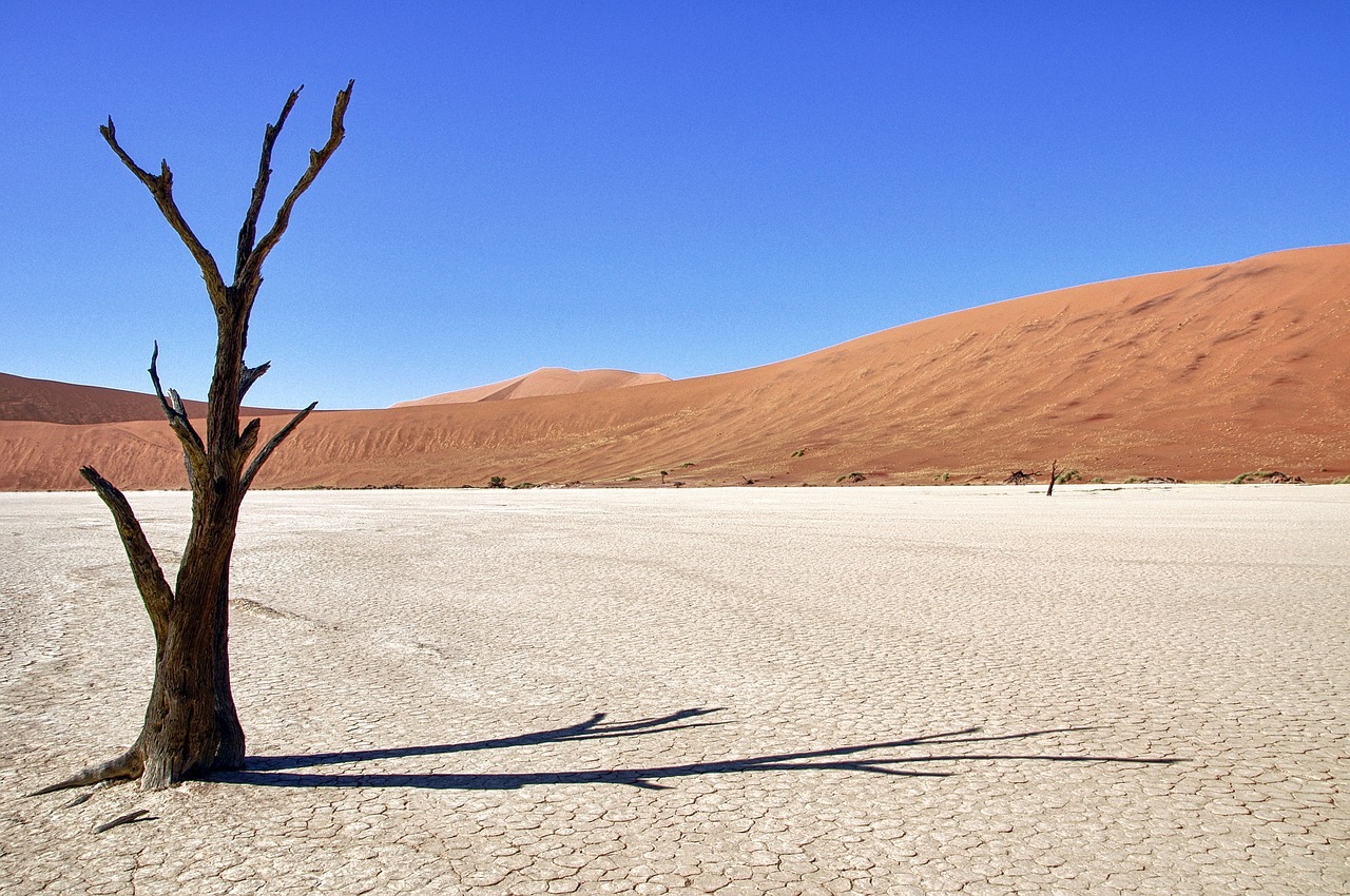 namibia-2774936_1280